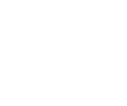 turf